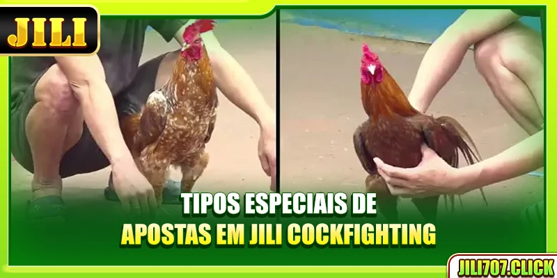 Tipos especiais de apostas em Jili Cockfighting