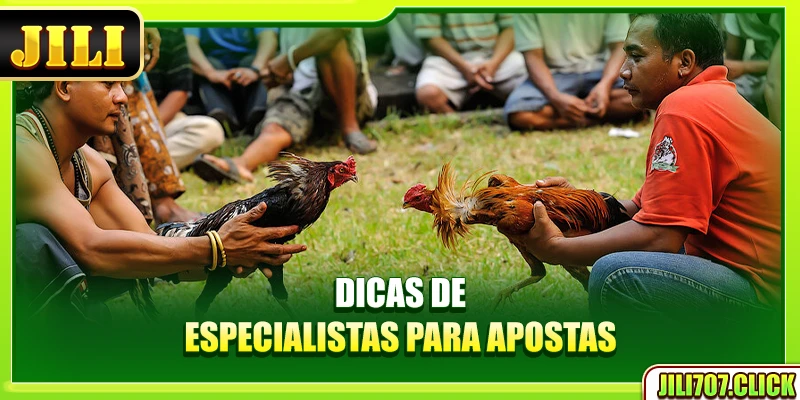 Dicas de especialistas para apostas